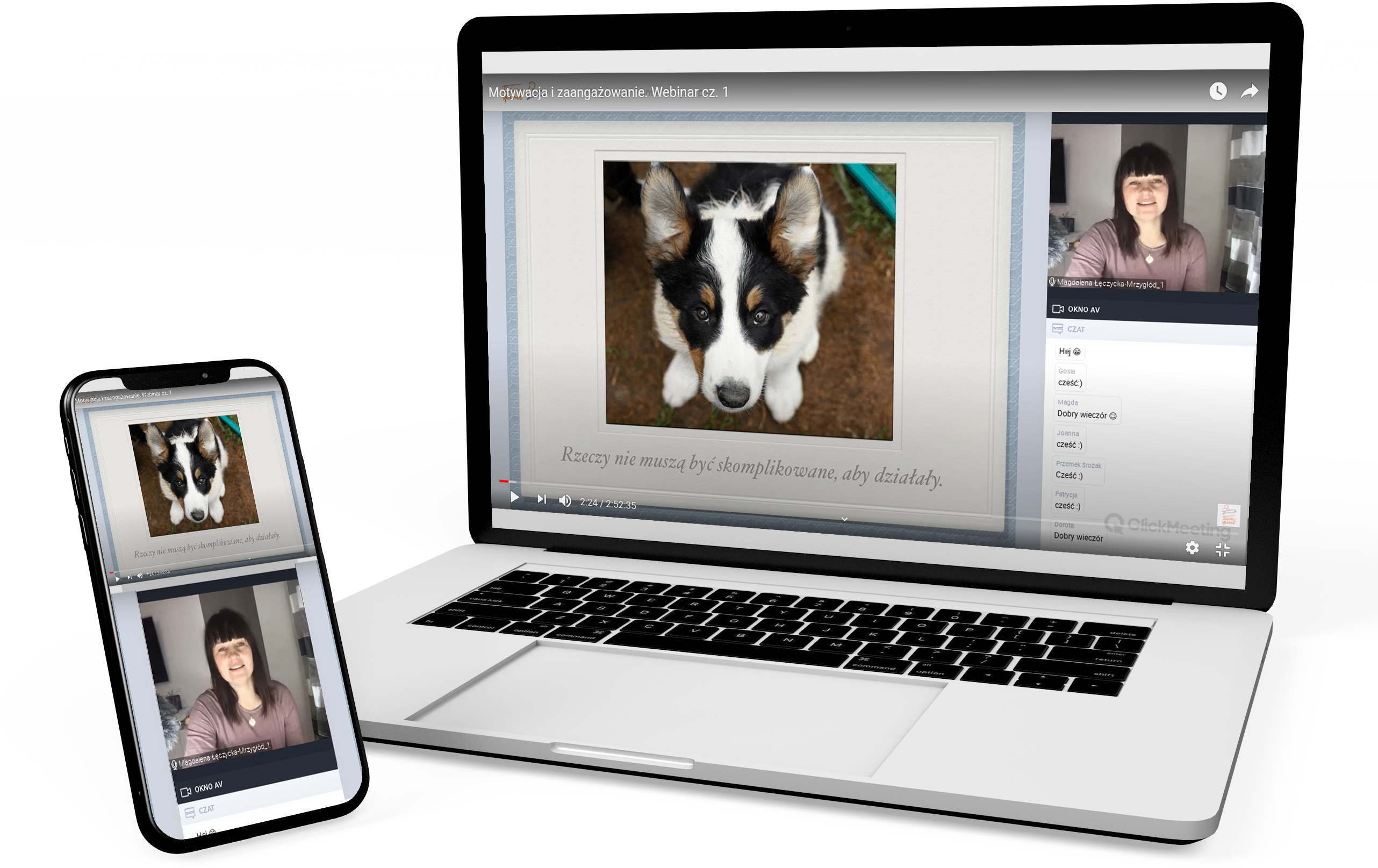 jak zmotywować psa do ćwiczeń - szkolenie