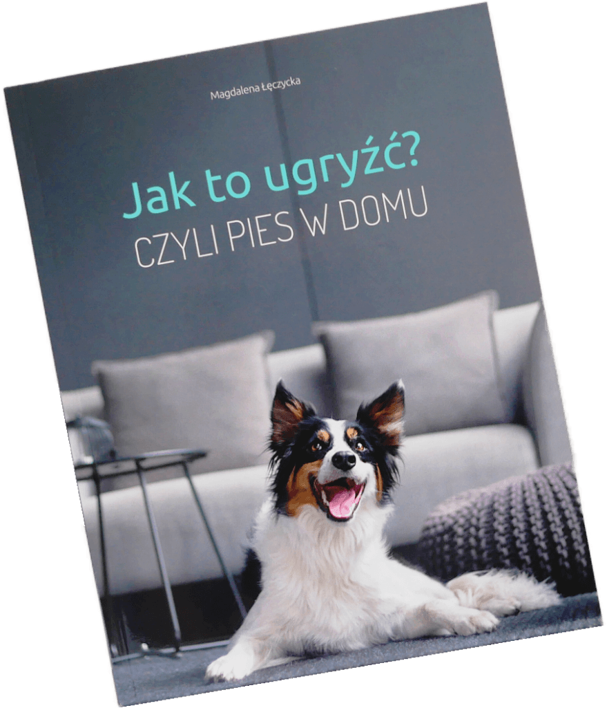Książka Magdaleny Łęczyckiej "Jak to ugryźć?"