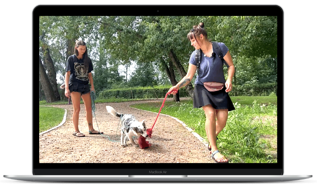 Psie Rewolucje z Magdaleną Łęczycką - Odcinek 3: Runa: Zaganianie aut, rowerów i ludzi.