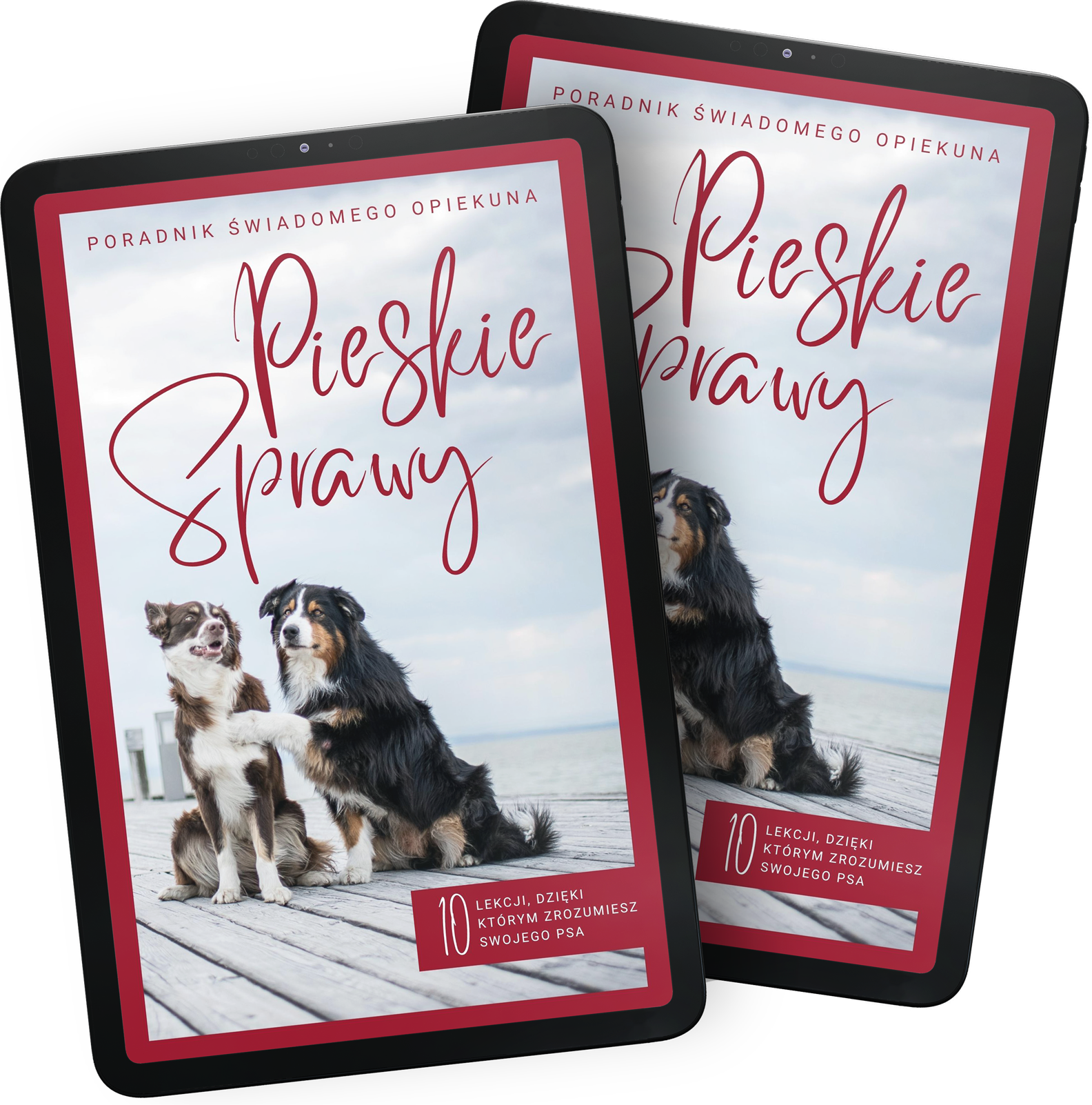 E-book: Pieskie Sprawy - Poradnik Świadomego Opiekuna Psa - Preorder Grafika przedstawia dwie okładki e-booka: E-book: Pieskie Sprawy - Poradnik Świadomego Opiekuna Psa - Preorder