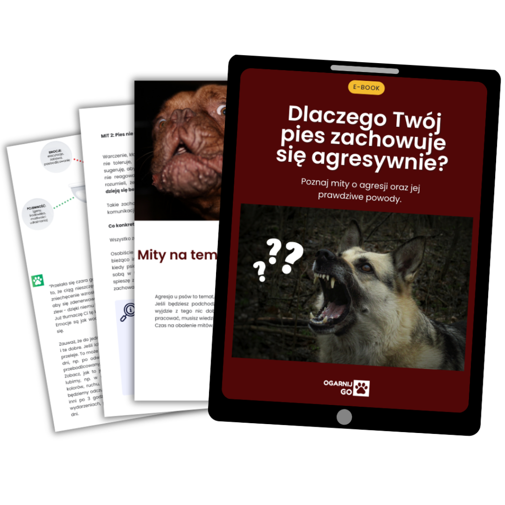 untitled-design-1-1024x1024-1