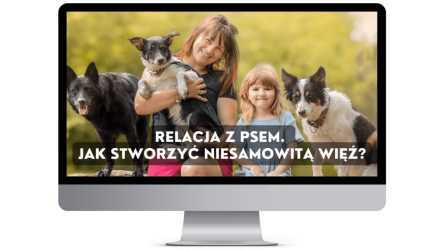 relacja-produkt-1-1024x576-1