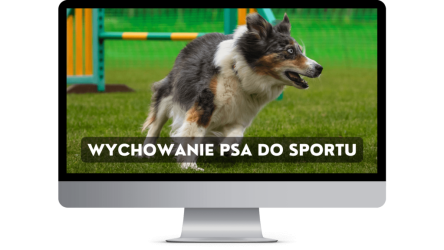 wych-do-sport-produ-2-1024x576-1