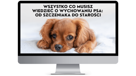 wychowanie-psa-od-szcz-1-1024x576-1